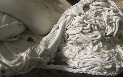 中(zhōng)山(shān)港口塑料回收